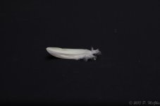 DSC_4397.jpg