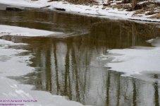 055 Choconut Creek-130224-02-Vivid_01.jpg