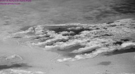 055 Choconut Creek-130224-03-Cropped-BW_01.jpg
