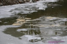 055 Choconut Creek-130224-05_01.jpg