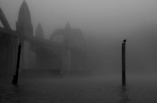 fog bridge.jpg