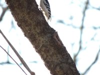 DSCN5324.jpg