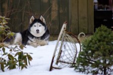 DSC_4422.jpg