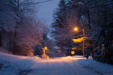 DSC_4416.jpg