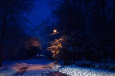DSC_4418.jpg