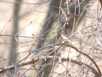 DSCN5344.jpg
