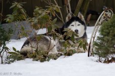 DSC_4452.jpg