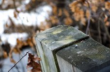 DSC_4456.jpg