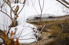 DSC_4457.jpg