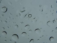 DSCN5446a.jpg
