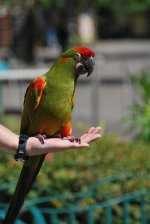 animals_017.jpg