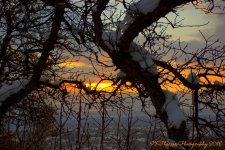 Sunset #2 12-1-2016.jpg