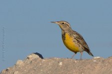 12-1-16-cr_D7K4997.jpg