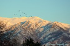 Sunset  #1 12-2-2016.jpg