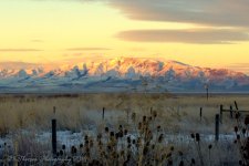 Sunrise #3 12-2-2016.jpg