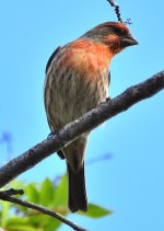 ROY_5422.jpg
