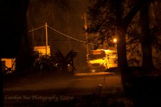 DarkBus2_4314.jpg
