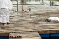 polar plunge CC-8177.jpg