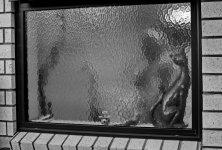 DSC_5279 keep B&W.jpg