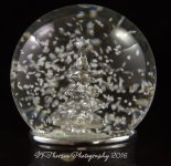 Snow Globe 12-4-2016.jpg