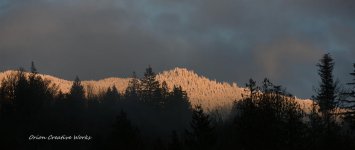X_IMG_7764_tag.jpg
