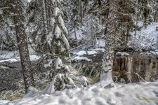 IVA_5434-Edit-Edit.jpg