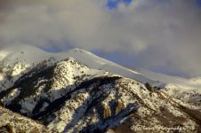 Afternoon #2 12-7-2016.jpg