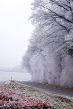 20161207-_DSC5521.jpg