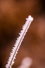 20161207-_DSC5510.jpg