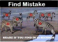 15317982_10211020073595337_6853939628151516965_n.jpg