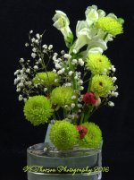 White and Green Flowers 12-9-2016.jpg