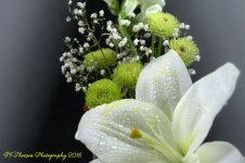White and Green Flowers with Lily #2 12-9-2016.jpg