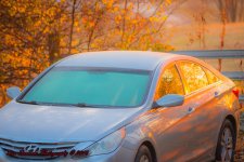 COLD Morning Fog-8427.jpg