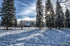 IVA_5504-Edit-Edit.jpg