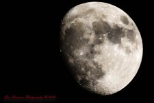 Moon Shadows-8440.jpg