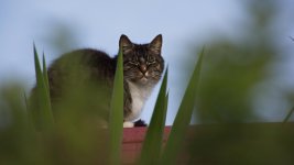 DSC_5137.jpg