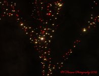 Christmas Lights in the Rain #3 12-10-2016.jpg