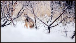 DSC_1559.jpg