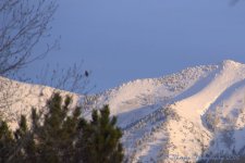 Snowy Mountain Tops #2 12-11-2016.jpg