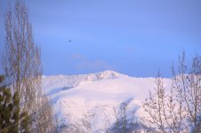 Snowy Mountain Tops #4 12-11-2016.jpg