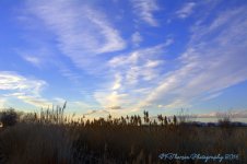 Evening Clouds 12-12-2016.jpg