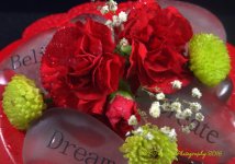 Red Carnations #2 12-13-2016.jpg