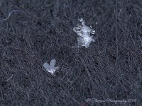 Snowflakes #1 12-14-2016.jpg