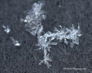 Snowflakes #3 12-14-2016.jpg