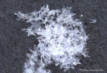 Snowflakes #4 12-14-2016.jpg