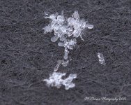 Snowflakes #5 12-14-2016.jpg