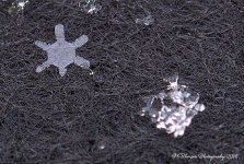 Snowflakes #6 12-14-2016.jpg