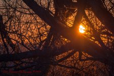 Cold Dawn-8919.jpg