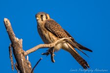 DSC_3416.jpg