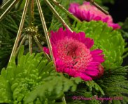 Pink and Green Flowers #1 12-15-2016.jpg